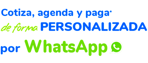 Cotiza, agenda y paga de forma personalizada por WhatsApp